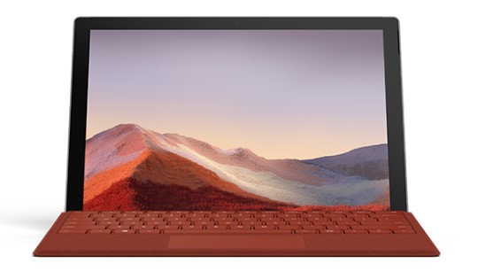 芙蓉清洁和维护 Surface